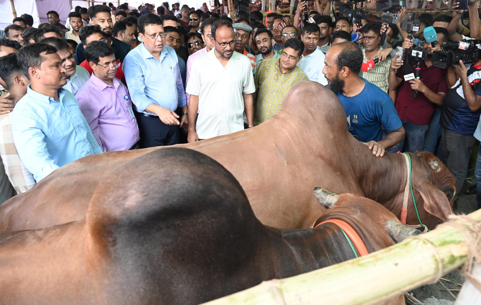 চোরাইপথের পশু নয়, বৈধ উৎসে কোরবানির পশু কেনার আহ্বান মৎস্য ও প্রাণিসম্পদ প্রতিমন্ত্রীর